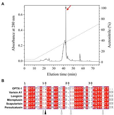 Peptide OPTX-1 From Ornithodoros papillipes Tick Inhibits the pS273R Protease of African Swine Fever Virus